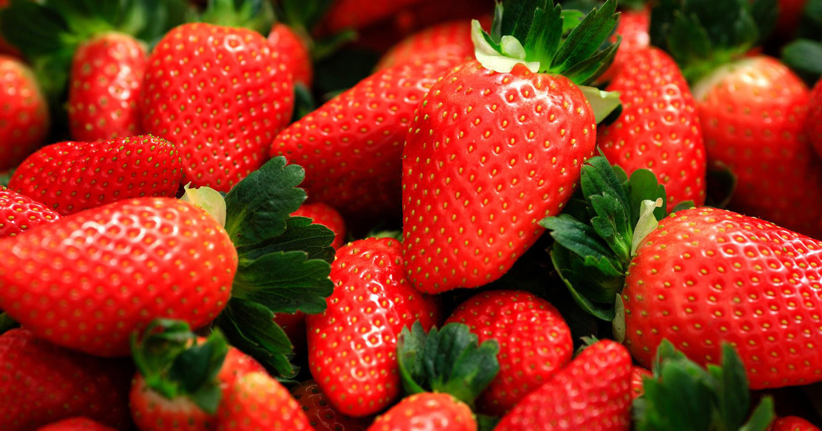 Addressing the Downsides of CopperBased Fungicides ADAMA